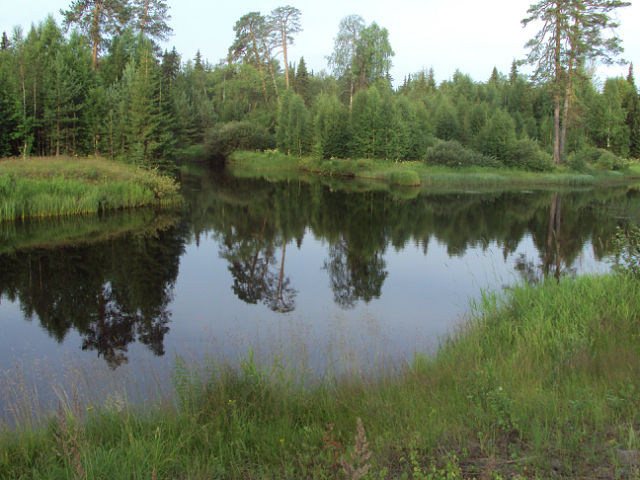 Чернореченский