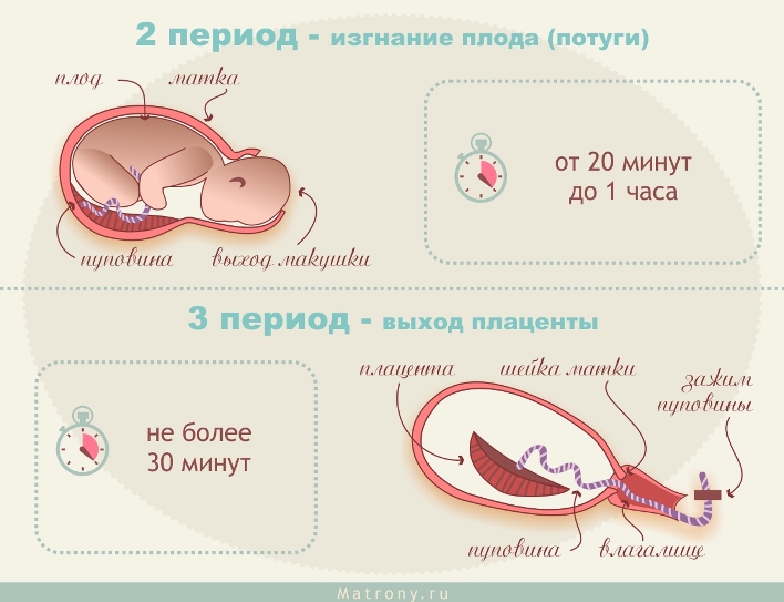 download профилактика