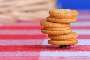 8 проверенных правил тайм-менеджмента () 8 проверенных правил тайм-менеджмента