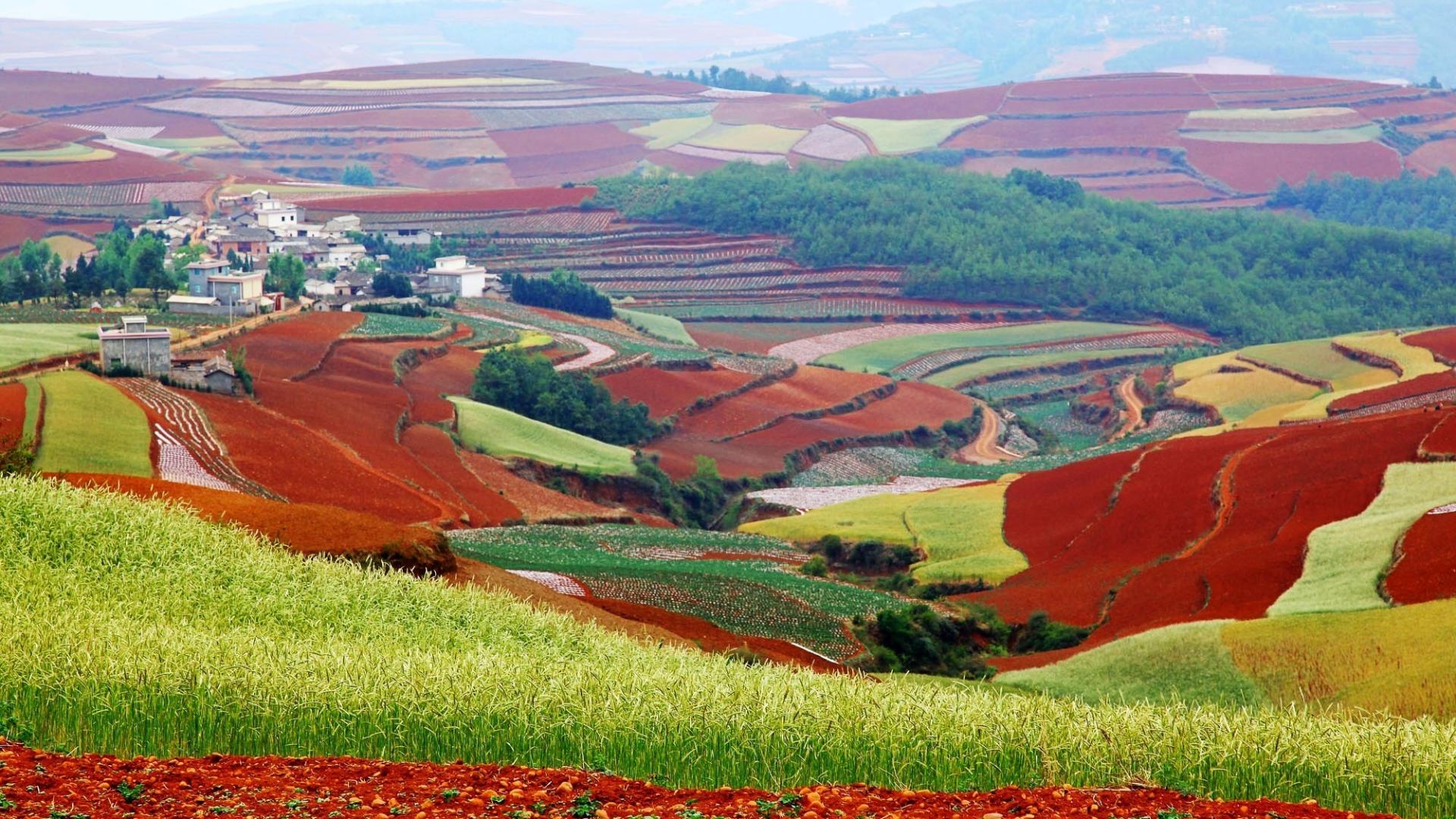 Разноцветные поля провинции Юннань. Фото: www.picstopin.com
