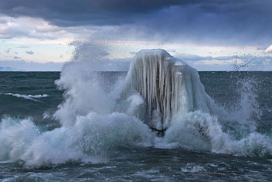 Байкальское чудовище. Фото: Владимир Тюменцев