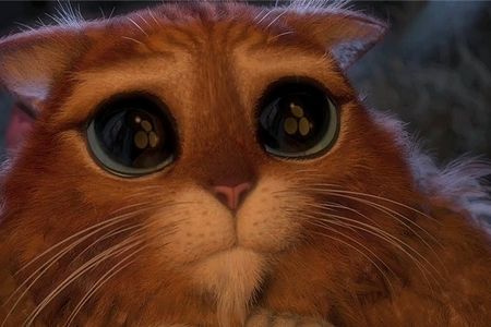 Будни одной обычной королевы () Будни одной обычной королевы