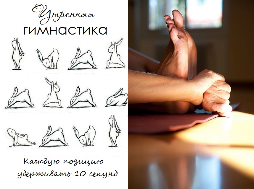 10 советов по выживанию в феврале () 10 советов по выживанию в феврале