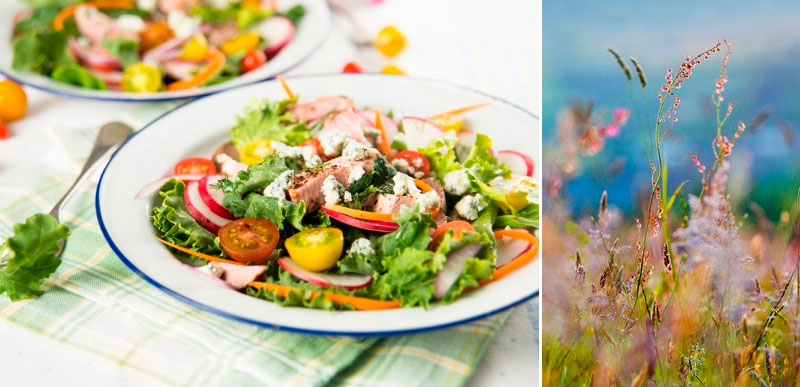 summersalad