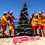 Самое чудесное время в году, или Что такое Рождество по-австралийски