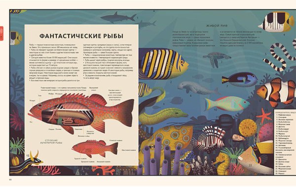 9 лучших детских книг Non () 9 лучших детских книг Non