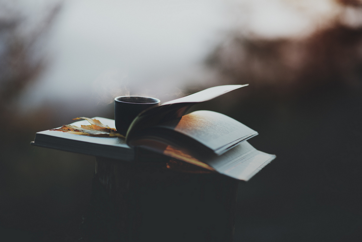 7 (субъективно) лучших книг для чтения осенними вечерами () 7 (субъективно) лучших книг для чтения осенними вечерами