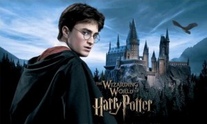 Почему мне нравится Гарри Поттер () Почему мне нравится Гарри Поттер