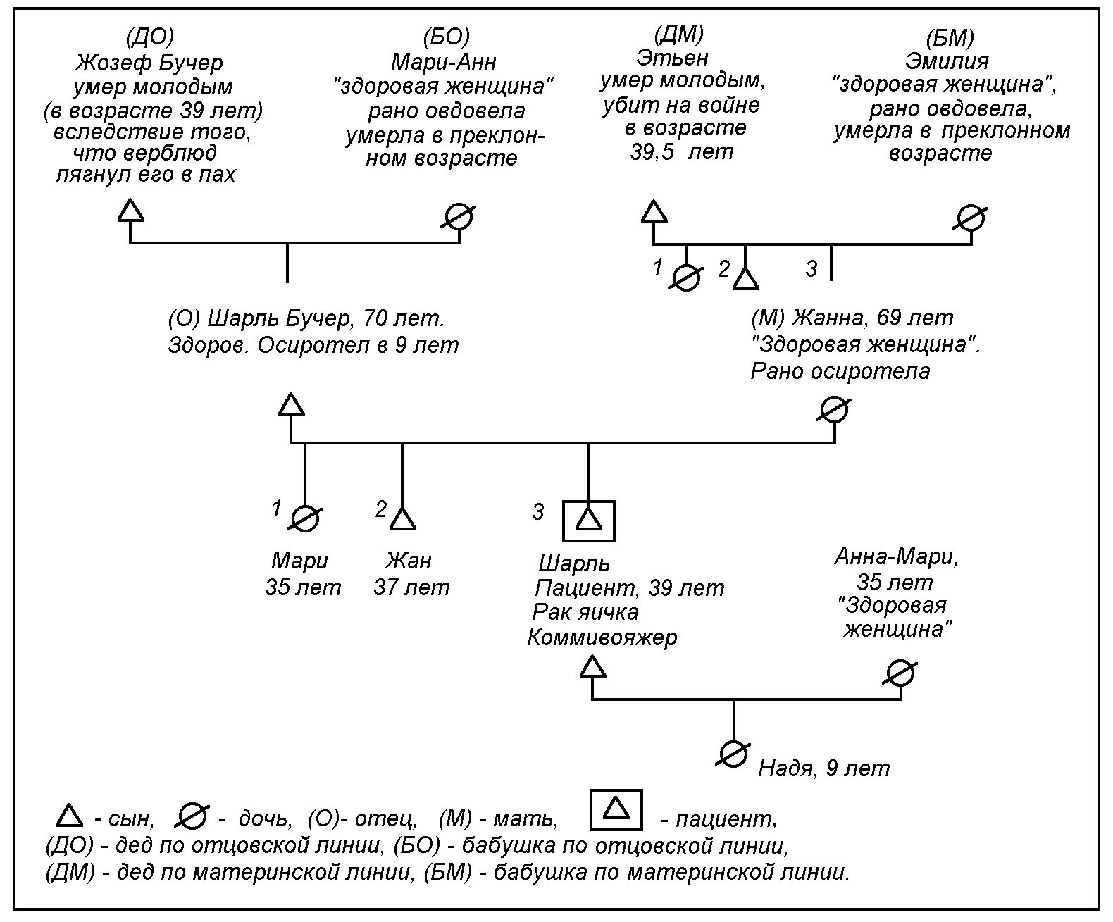 генеалогический метод родословная схема. как составить родословную семьи образец. родословная по линии отца. геносоциограмма семьи пример. пример родословной схемы семьи.